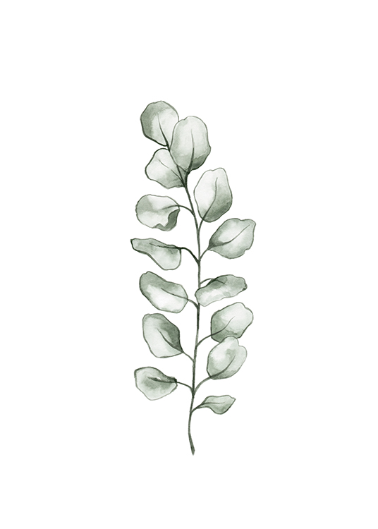 – Ilustración con una hoja de eucalipto realizada en acuarela verde sobre una base blanca