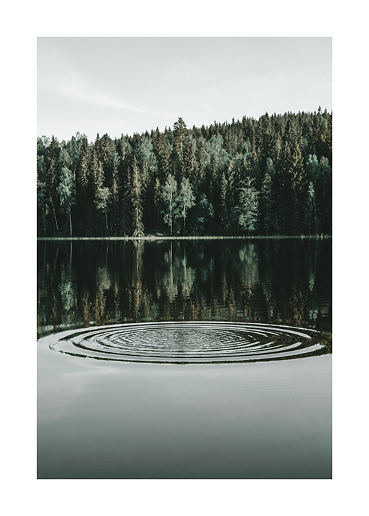  – Fotografía de un lago con ondas y un bosque detrás