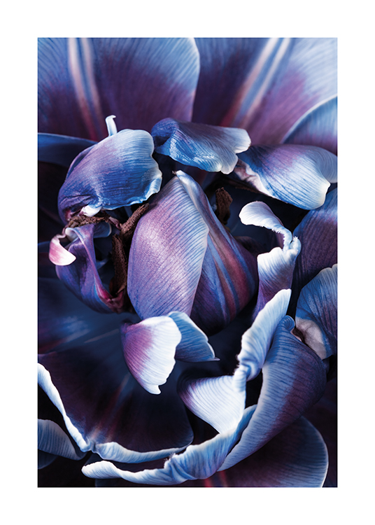  – Primer plano de una flor azul