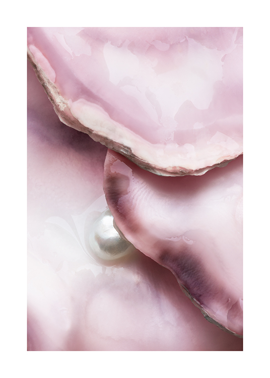  – Ostras rosadas con bordes oscuros y una perla blanca en primer plano