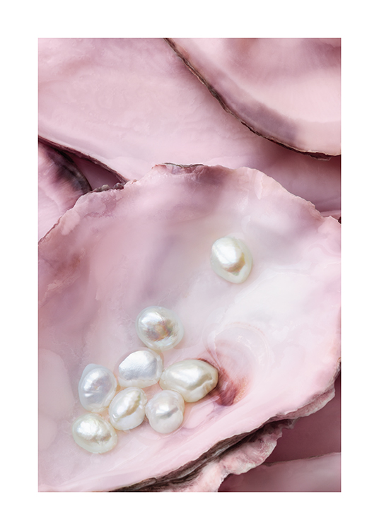  – Fotografía de ostras rosadas y perlas blancas en el interior de una de las ostras