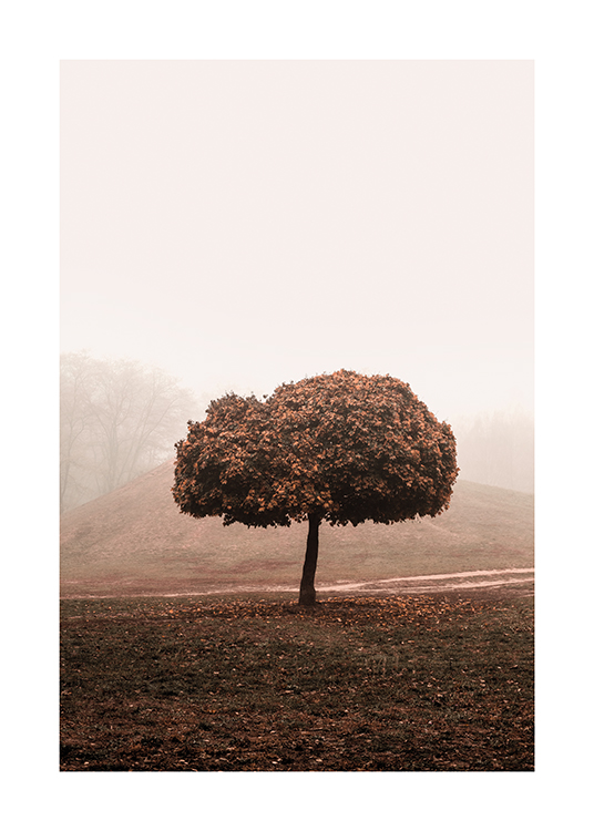  – Fotografía de un campo con neblina y un árbol de copa grande en medio del paisaje