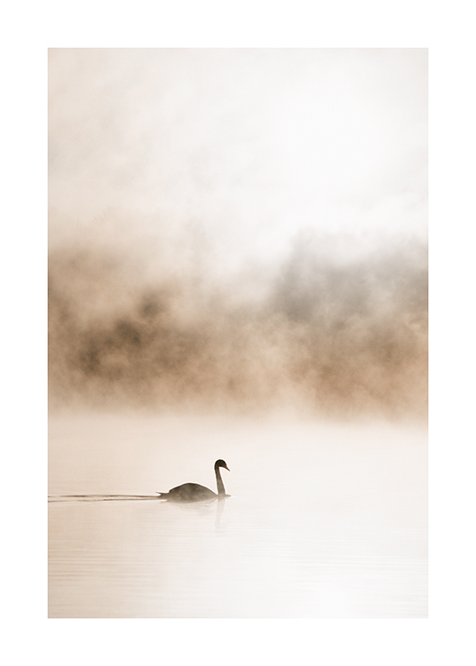  – Fotografía de un lago con niebla y un cisne deslizándose en el agua, fondo beis