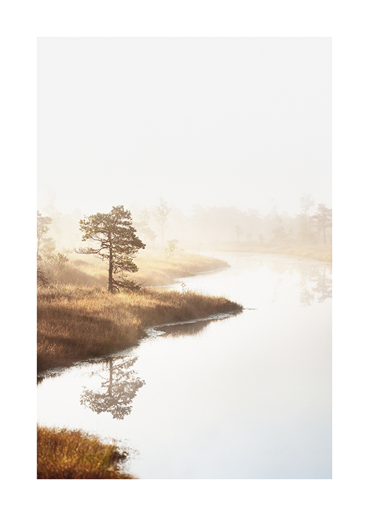  – Fotografía de árboles y pasto al lado de una laguna en un paisaje con niebla