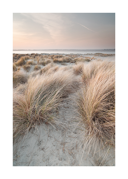  – Fotografía de unas dunas con pasto junto al mar y cielo en tonos pastel de fondo