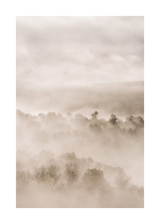 – Fotografía de un paisaje con niebla y árboles en la escala del beis