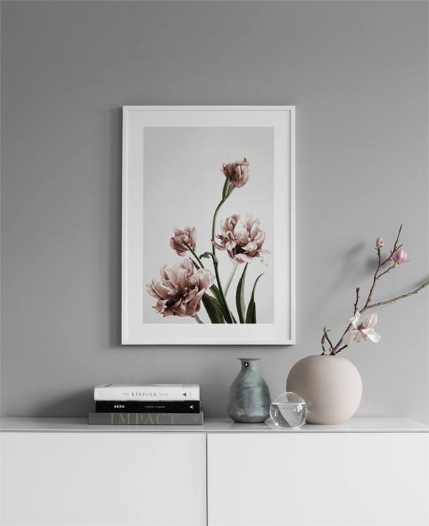  – Fotografía de tulipanes florecidos en color rosa, con fondo gris