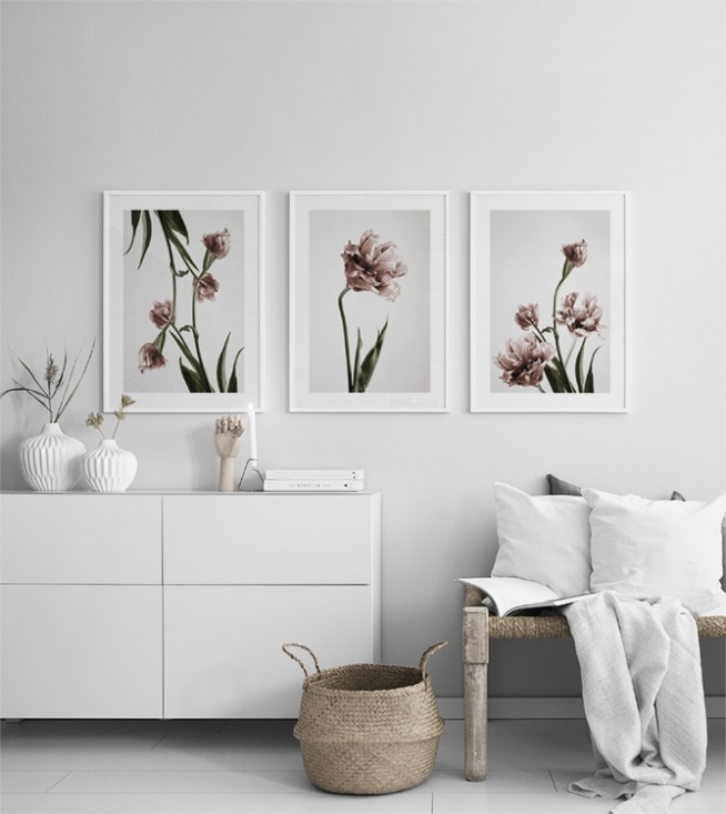  – Fotografía de tulipanes florecidos en color rosa, con fondo gris