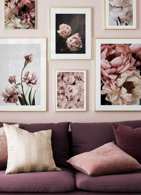  – Fotografía de tulipanes florecidos en color rosa, con fondo gris