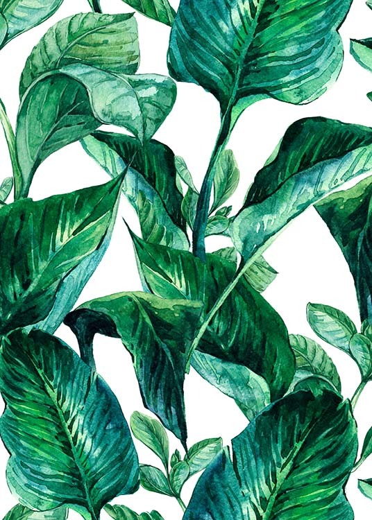 Green Leaves Pattern Poster / Arte con Desenio AB (2288)
