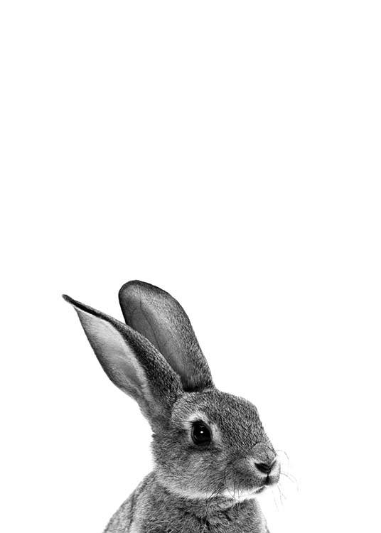 Grey Bunny Poster / Pósters infantiles con Desenio AB (2302)