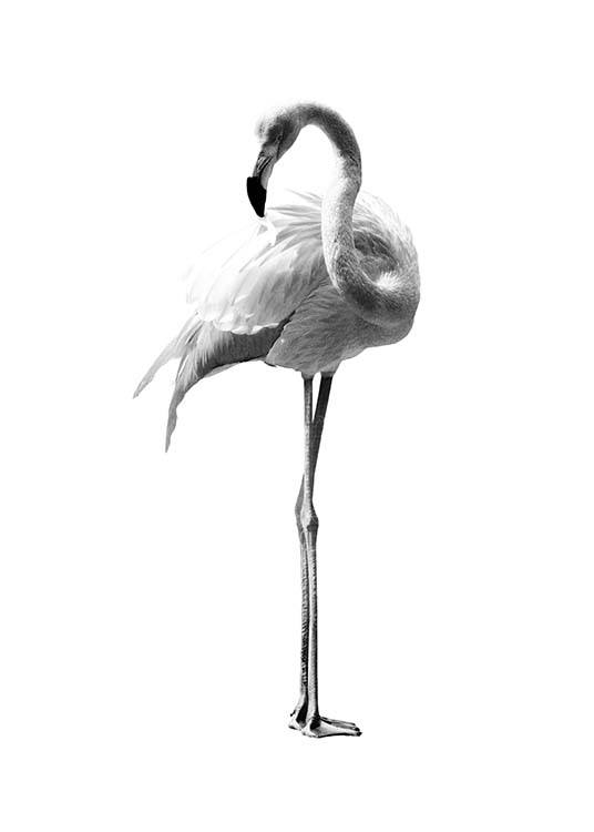 Flamingo Black And White Poster / Blanco y negro con Desenio AB (2395)