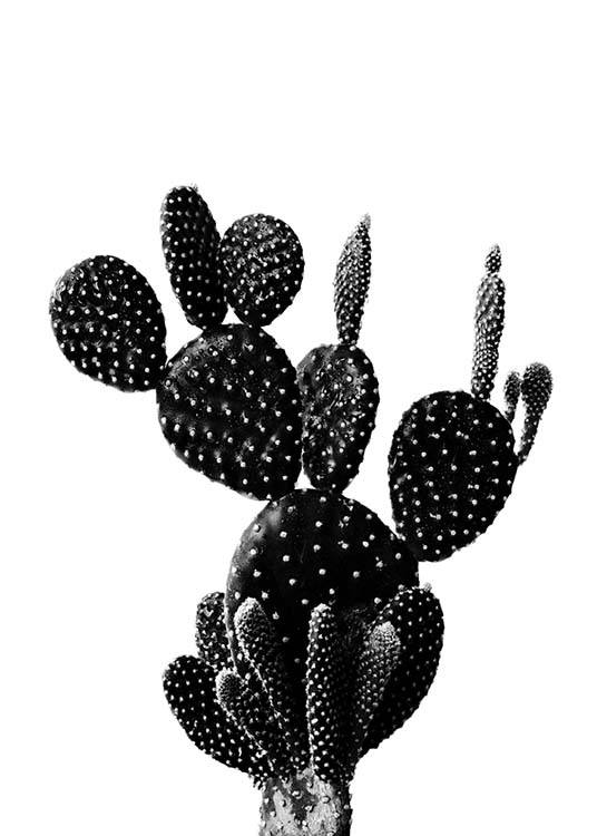 Black Cactus One Poster / Blanco y negro con Desenio AB (2429)
