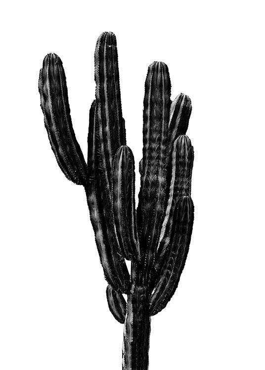 Black Cactus Three Poster / Blanco y negro con Desenio AB (2431)