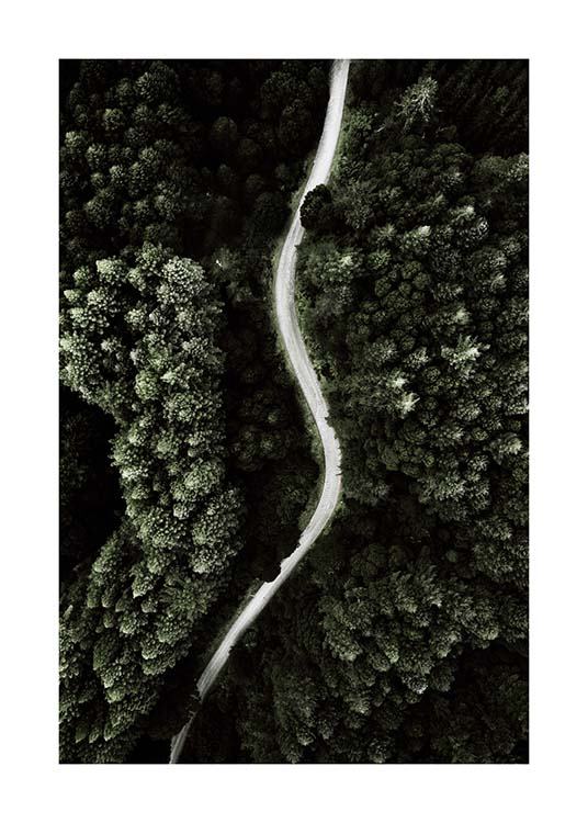 Forest Above Poster