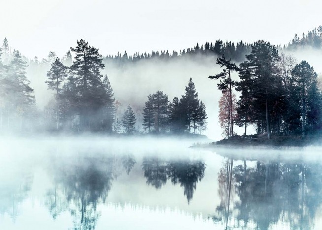 Foggy Lake Poster / Naturaleza con Desenio AB (2720)