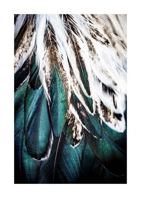 Green Feathers Poster / Fotografías con Desenio AB (2732)