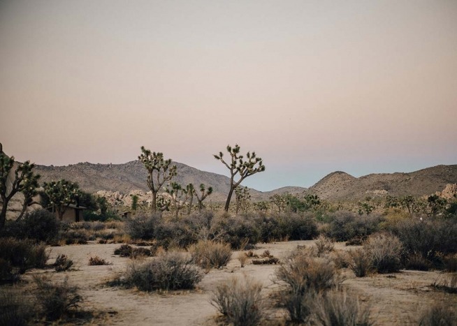 Mojave Desert Poster / Naturaleza con Desenio AB (2888)