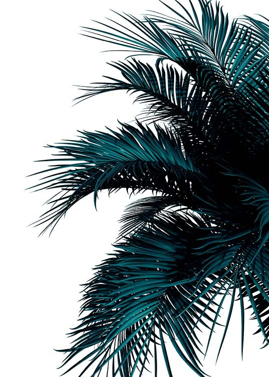 Green Palm Tree Poster / Botánica con Desenio AB (2907)
