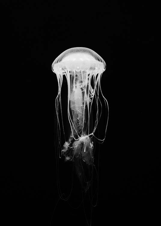 Jellyfish B&W Poster / Blanco y negro con Desenio AB (2917)