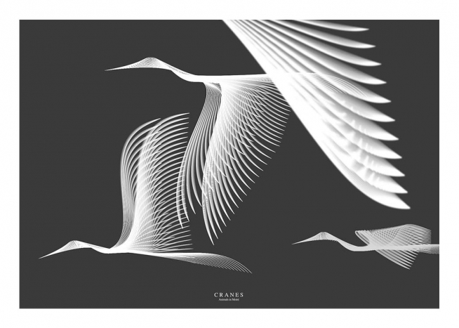 Cranes In Moiré Poster / Animales con Desenio AB (3223)
