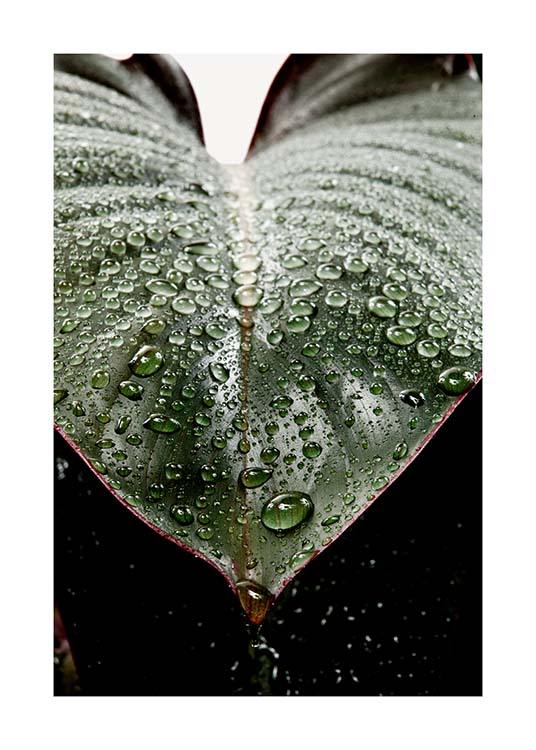 Wet Rubber Leaf Two Poster / Fotografías con Desenio AB (3336)