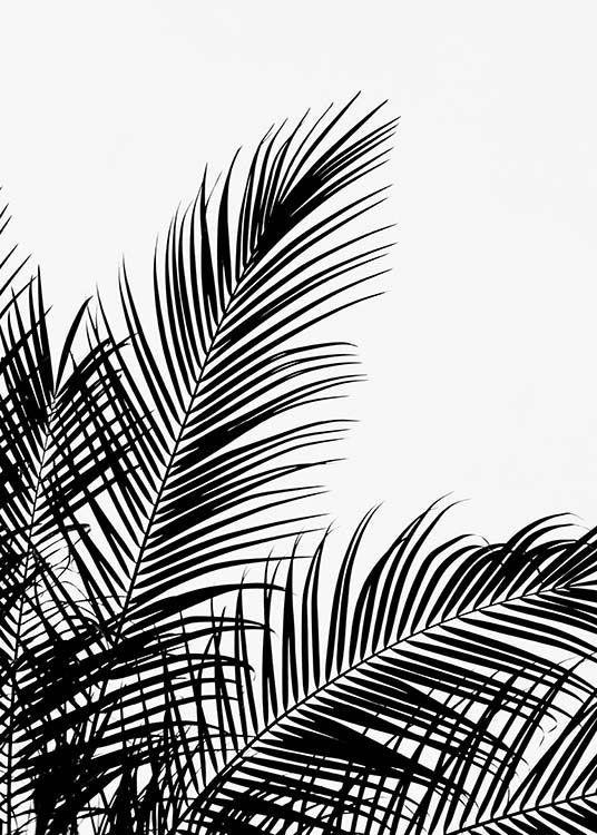 Black Palm Tree Two Poster / Blanco y negro con Desenio AB (3524)