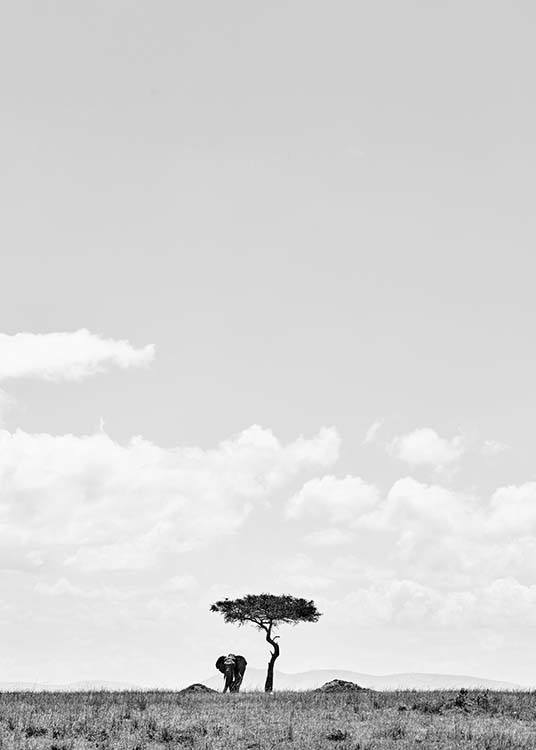 Elephant Under Tree Poster / Blanco y negro con Desenio AB (3540)