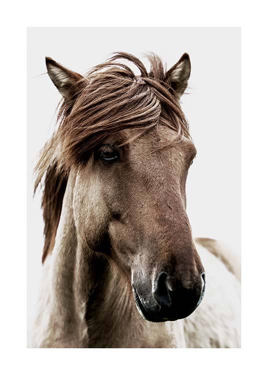 Brown Horse Poster / Fotografías con Desenio AB (3544)