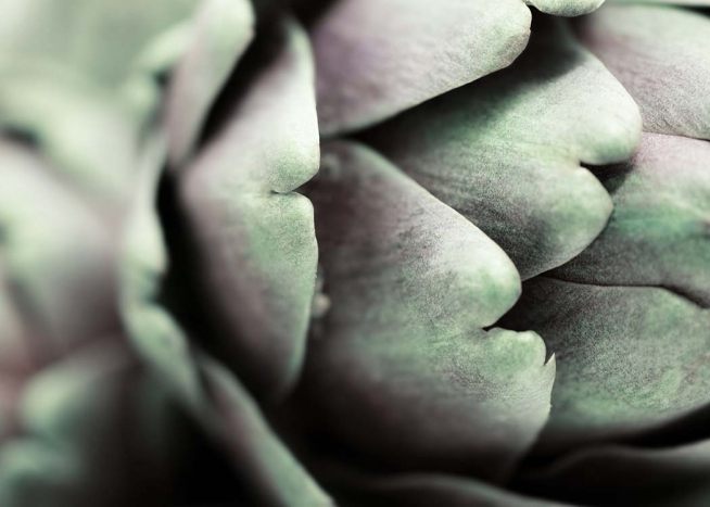 Artichoke Close Up Poster