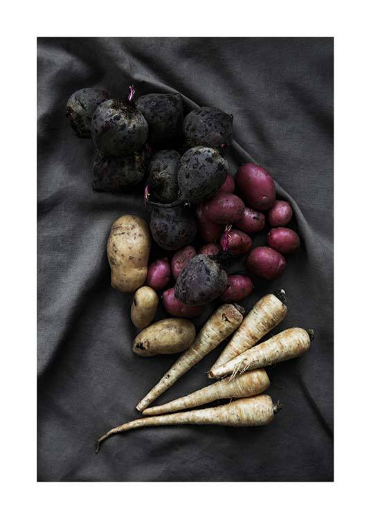 Vegetables From The Garden Poster
