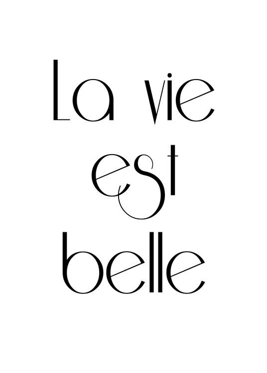 La Vie Est Belle, Poster