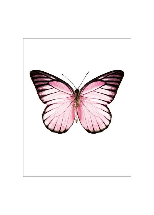 Pink Butterfly Small Poster 