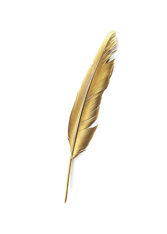 Gold Feather, Poster / Cuadros con texto con Desenio AB (7605)