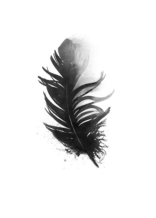 Black Feather Aquarell, Poster / Blanco y negro con Desenio AB (7801)
