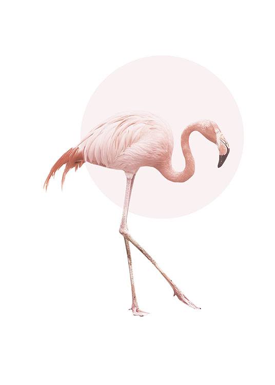 Illustrated Flamingo, Poster / Animales con Desenio AB (7826)