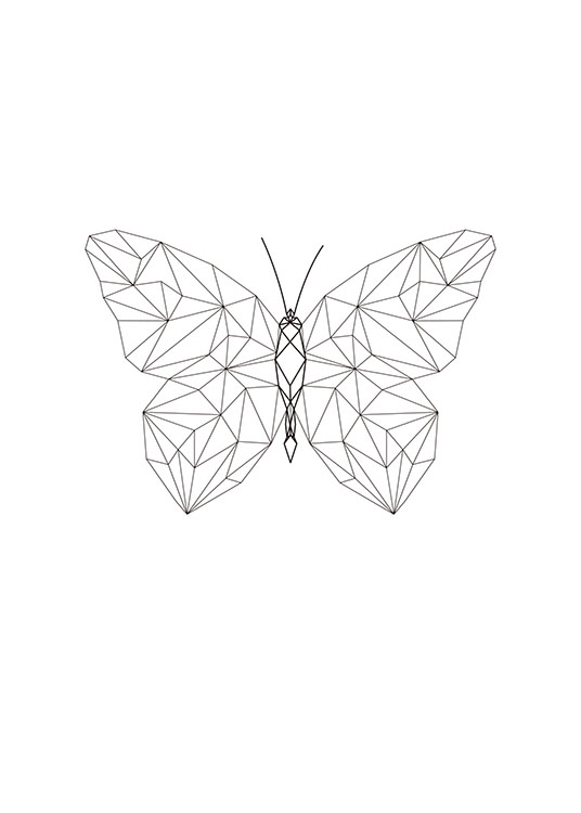 Geometric Butterfly, Poster