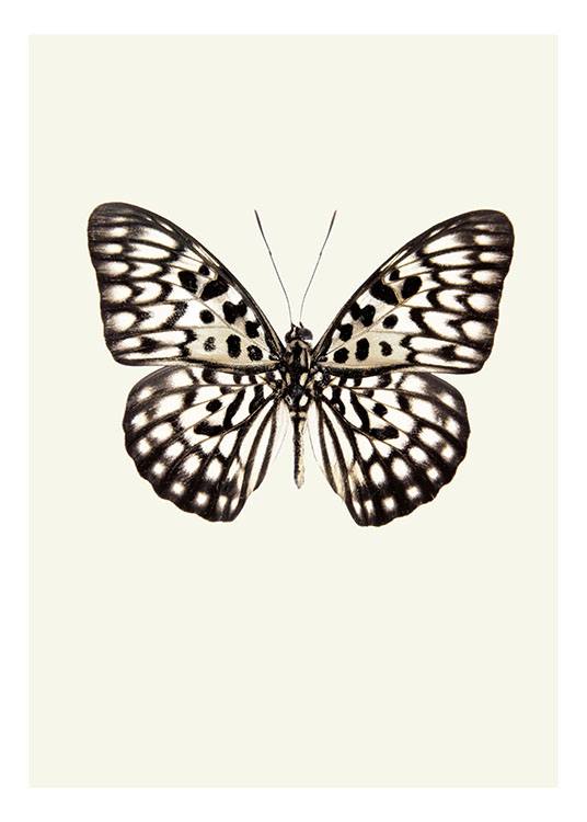 Vintage Butterfly, Prints  