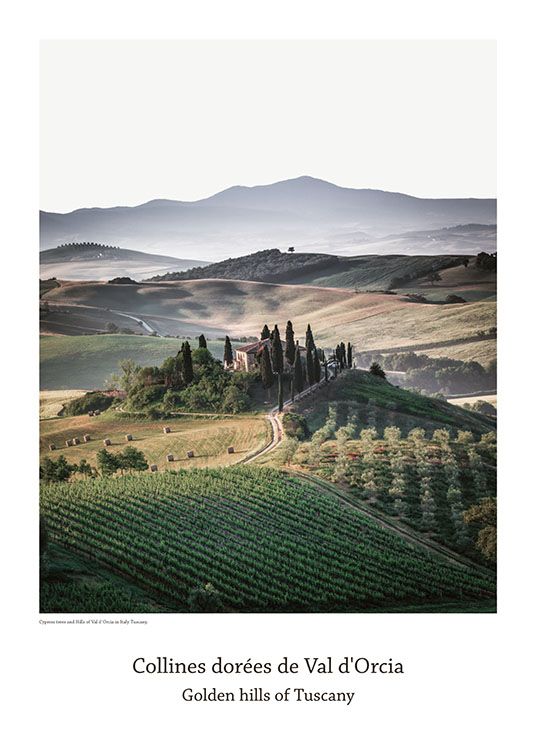 Italy, Poster / Naturaleza con Desenio AB (8149)