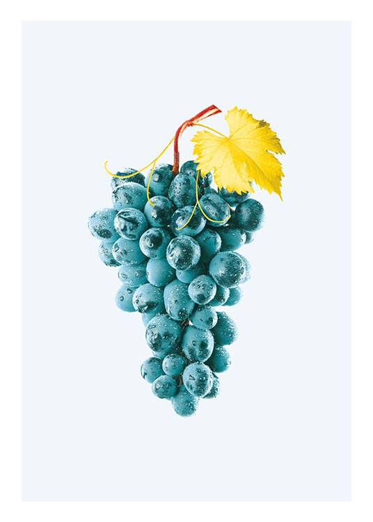 Blue Grapes, Poster / Arte con Desenio AB (8209)