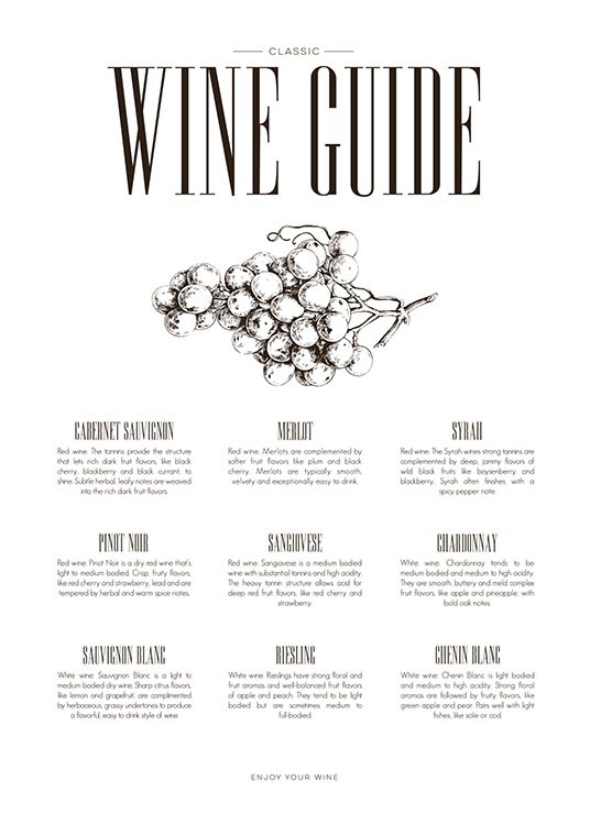 Wine Guide, Poster / Cuadros de cocina con Desenio AB (8228)