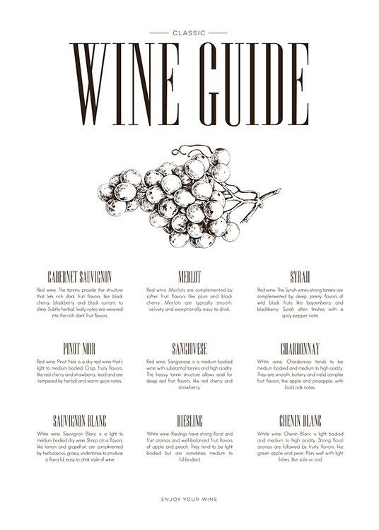 Wine Guide, Poster