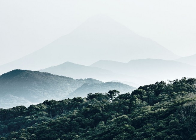 Forest Hills, Poster