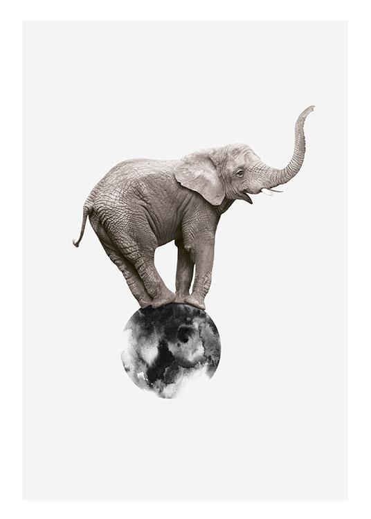 Elephant On Circle, Poster / Fotografías con Desenio AB (8312)