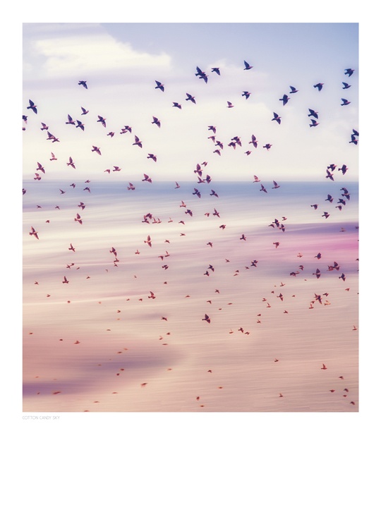 Cotton Candy Sky, Poster