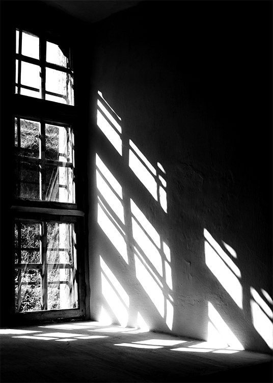  – Fotografía en blanco y negro de sombras en la pared