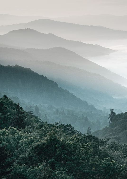  – Fotografía de un paisaje montañosos con bosque, árboles y neblina 