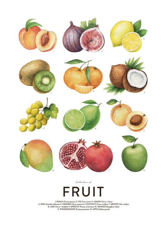 Fruit, Posters