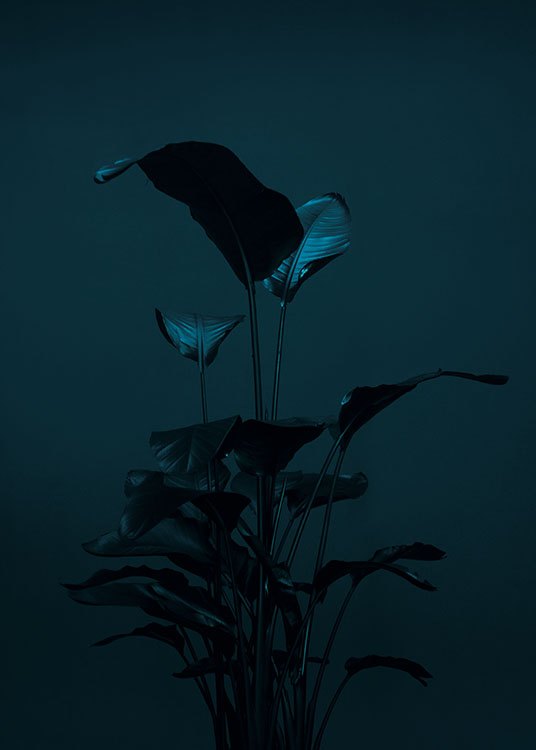 Black Plant, Poster / Fotografías con Desenio AB (8619)