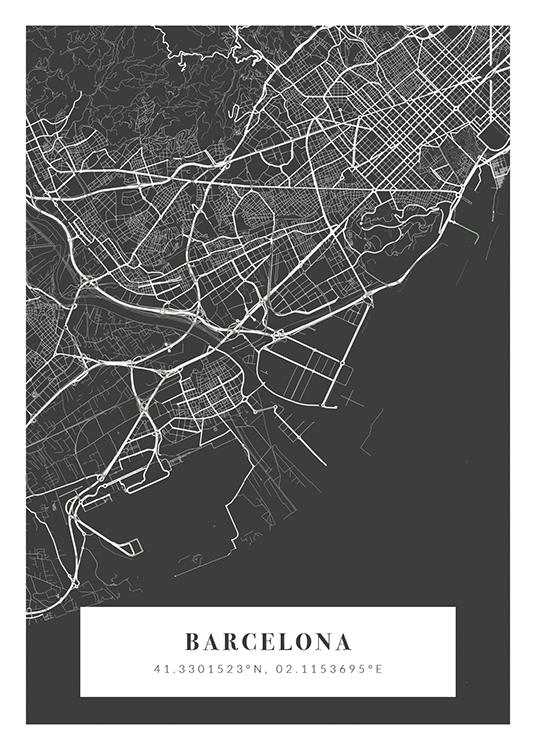  – Mapa ilustrado en gris y blanco con el nombre de la ciudad y las coordenadas en la parte inferior del cuadro.